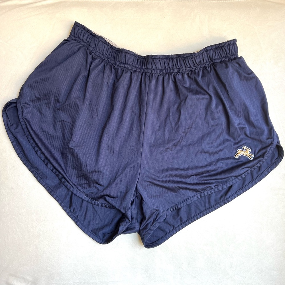 Tracksmith Twilight Split Shorts